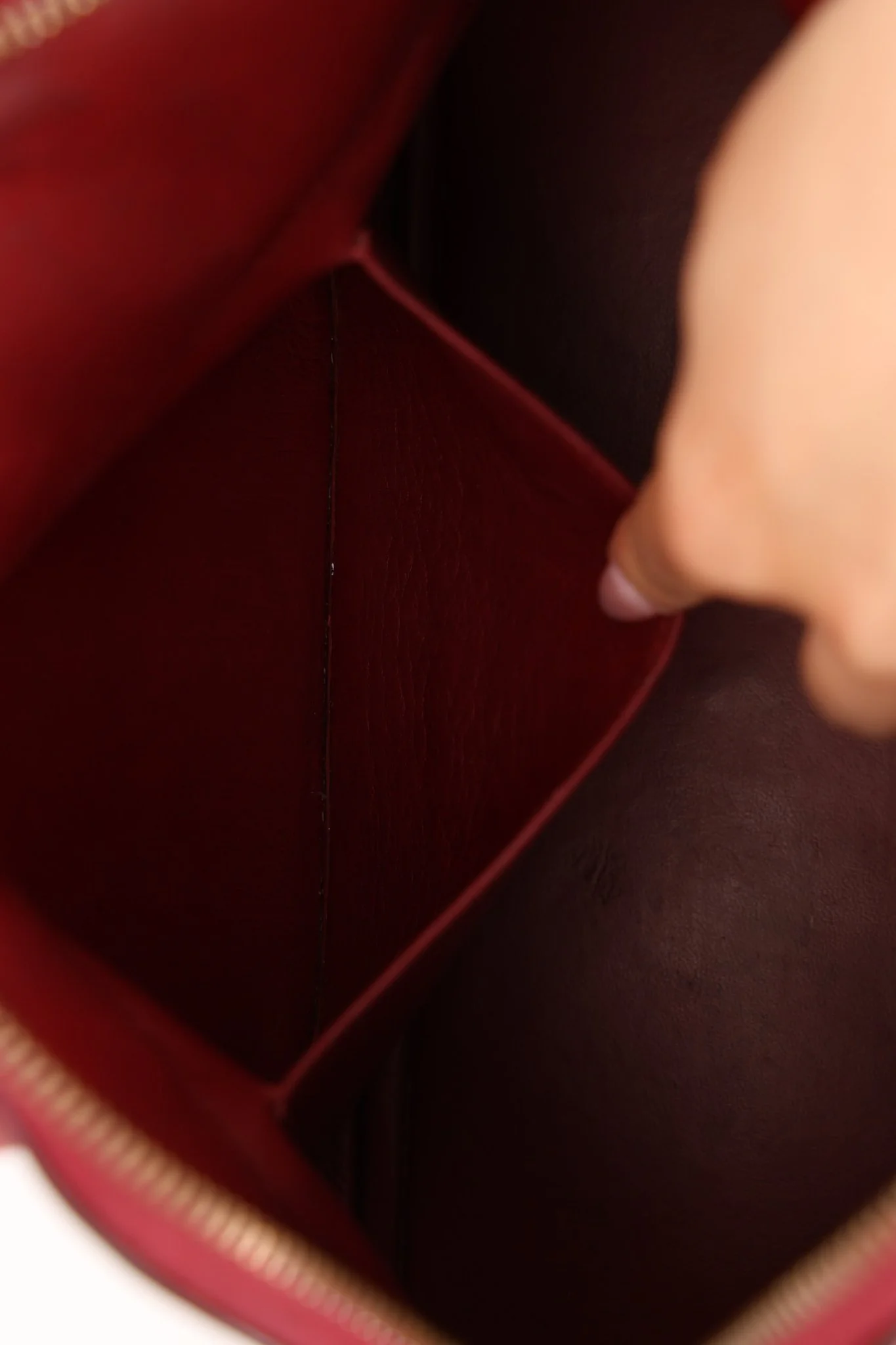 Thumbnail 19